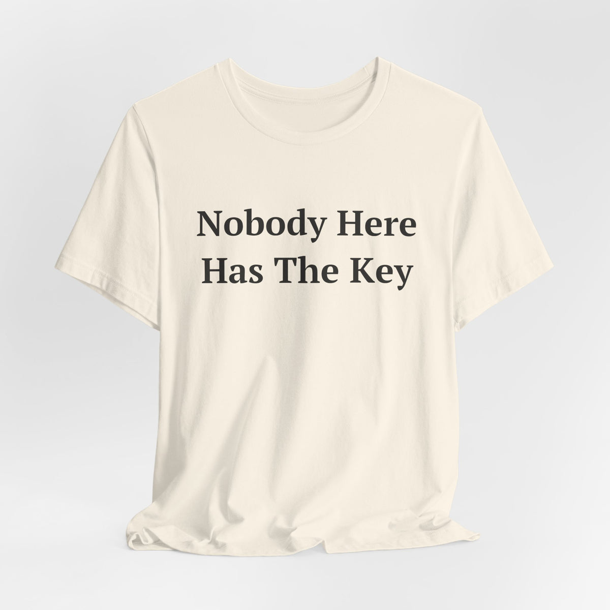 Nobody Here Has The Key — Fried Ocean